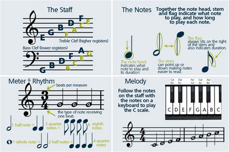 How to Read Guitar Notes on Sheet Music for Beginners PDF: A Symphony of Ducks and Dots